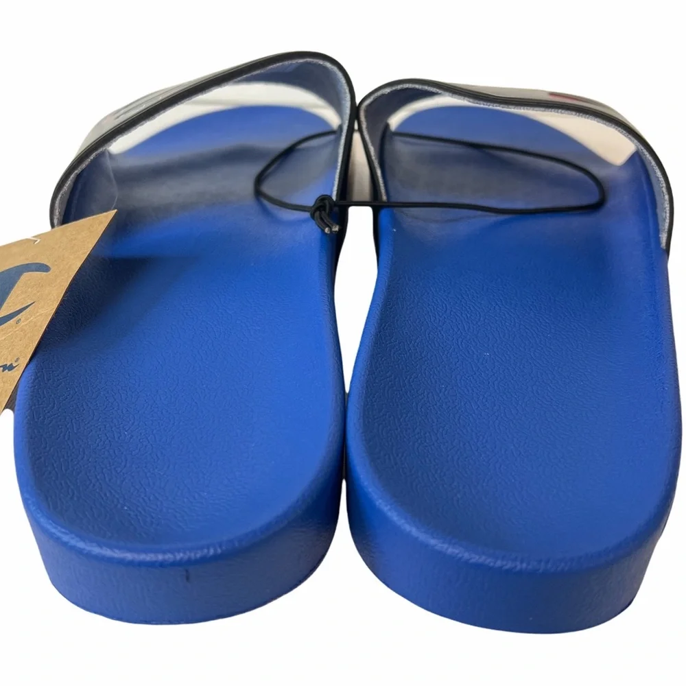 Champion IPO Repeat C Logo Surf The Web Blue Black Mens Sandals